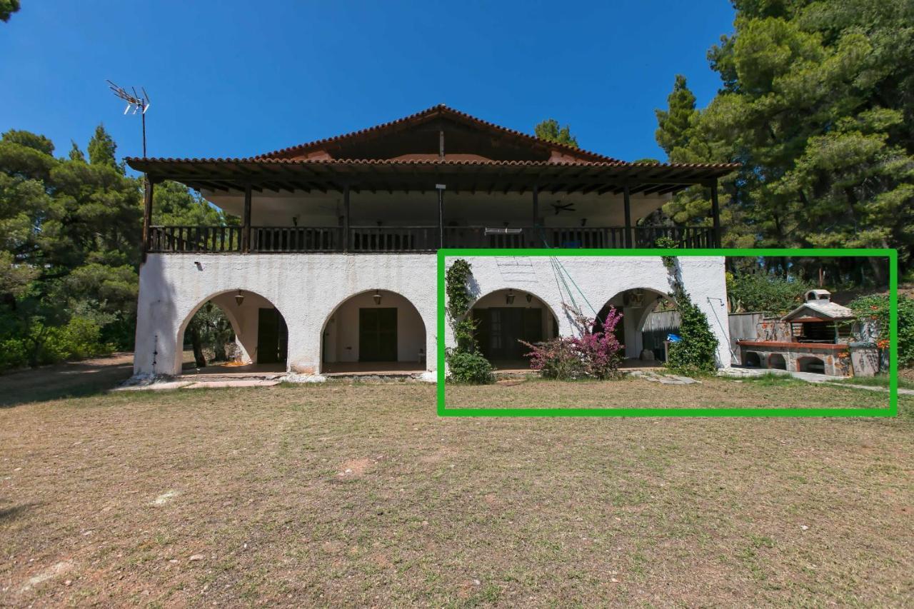 Chalkidiki Beachfront Haven - Perfect Location Nikiti  Exterior photo